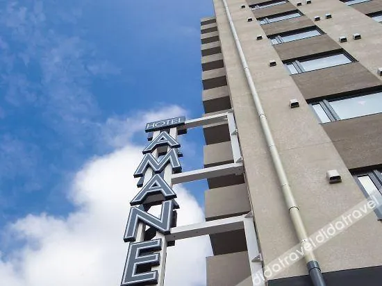 Hotel Amanek Kamata-Eki Mae Tokyo 3*,